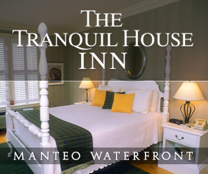 Tranquil House Inn 300×250